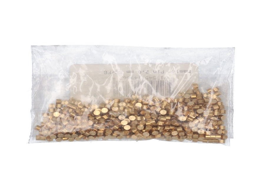 S2 pal 5 S6/F6 master pin 2,0 mm 60