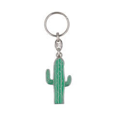 41   Cactus_1
