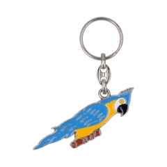 48   Papegaai blauw_1