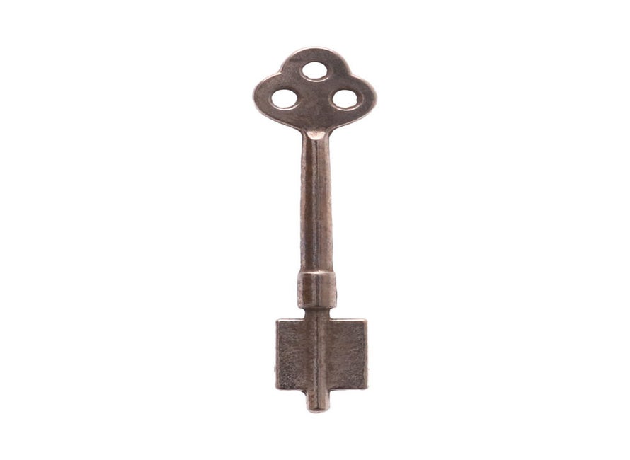 4013 DB dopsleutel 99,6 x 4,95 mm