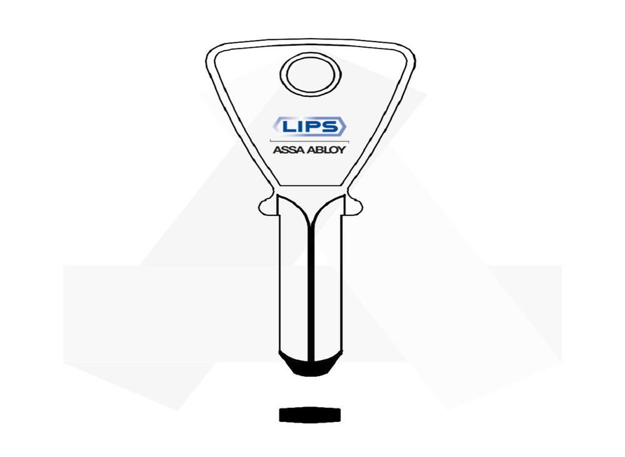 Lips octro 1 sleutel origineel