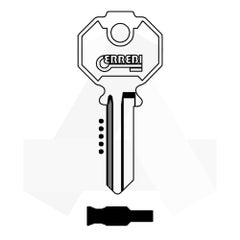 PREFER12 P12 RBBCP12