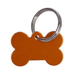 RODI0629 28 3 2025_1