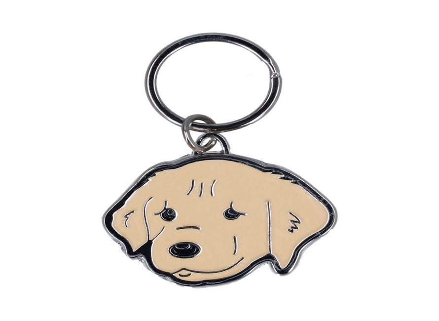 LaserTag Golden Retriever