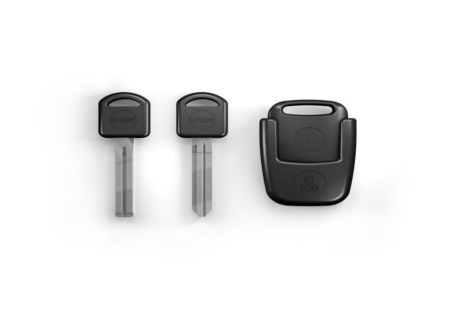 KL Kia Keyless Syst. KIHY100Kit