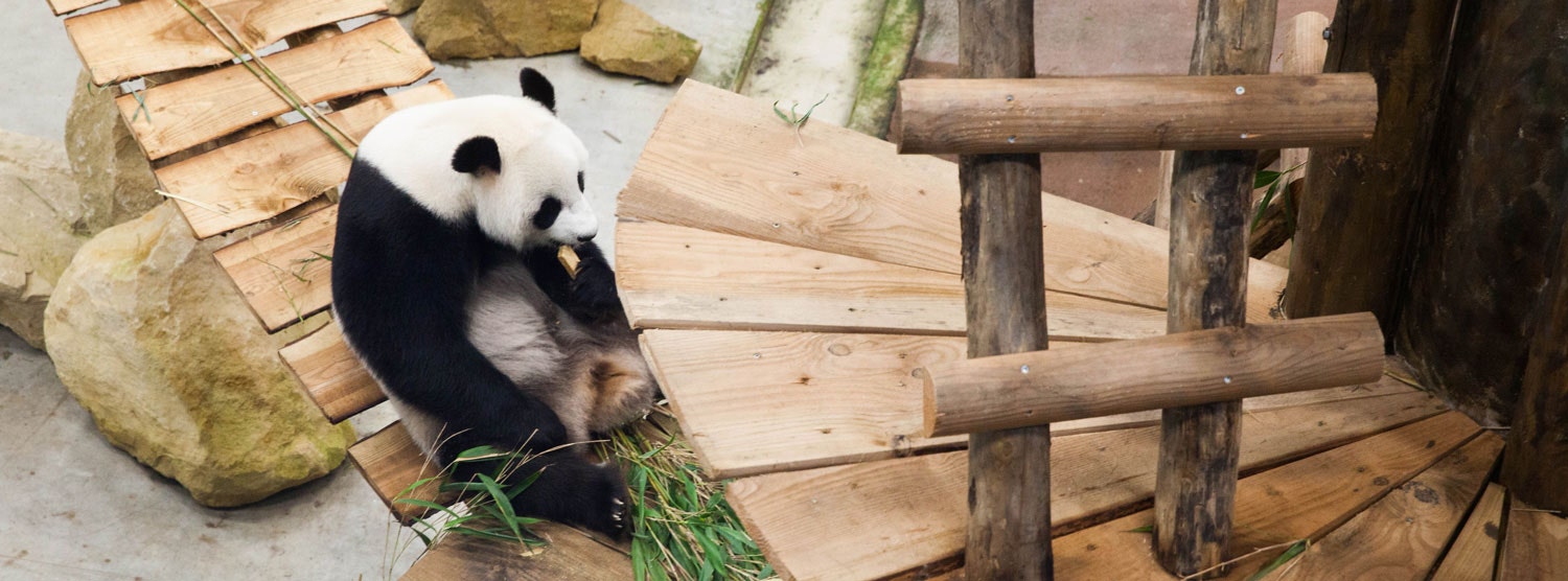 Ouwehands Dierenpark