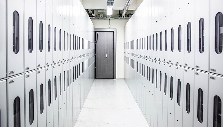 Wapenkluizen en - kamers Overheid